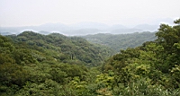 IMG_5740.JPG