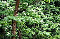 IMG_5746.JPG