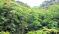 IMG_5747.JPG