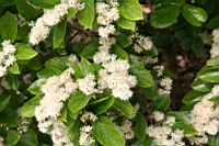 IMG_5751.JPG