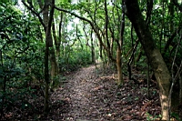 IMG_5753.JPG