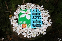 IMG_5757.JPG