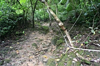 IMG_5765.JPG