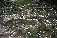 IMG_5766.JPG