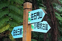 IMG_5767.JPG