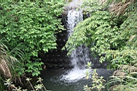 IMG_5773.JPG