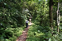 IMG_5794.JPG