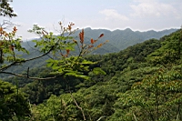 IMG_5795.JPG