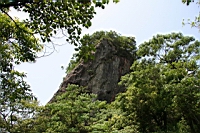 IMG_5796.JPG