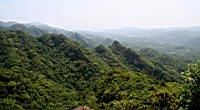 IMG_5798.JPG