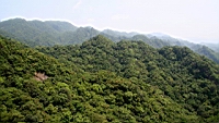 IMG_5799.JPG