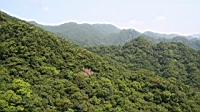 IMG_5801.JPG