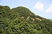 IMG_5802.JPG