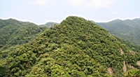 IMG_5804.JPG