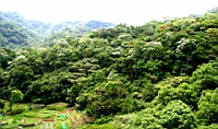 IMG_5846.JPG