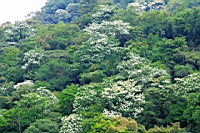 IMG_5847.JPG