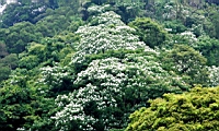 IMG_5850.JPG