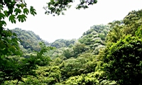 IMG_5851.JPG