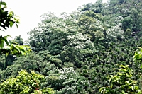 IMG_5853.JPG