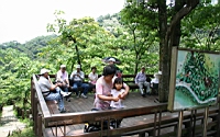 IMG_5854.JPG