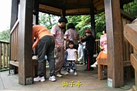 IMG_5863.JPG