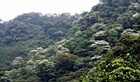 IMG_5905.JPG