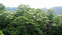 IMG_5908.JPG