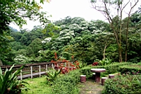 IMG_5909.JPG