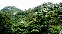 IMG_5910.JPG
