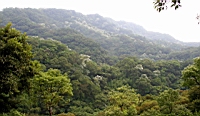 IMG_5913.JPG