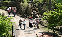 IMG_6069.JPG