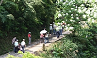 IMG_6070.JPG