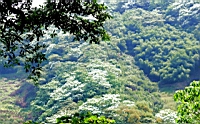 IMG_6073.JPG