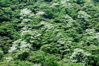 IMG_6084.JPG