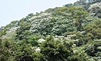 IMG_6089.JPG