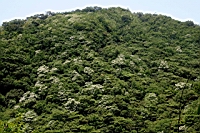 IMG_6093.JPG