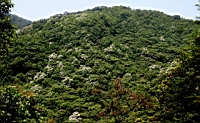 IMG_6095.JPG