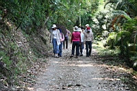 IMG_6104.JPG