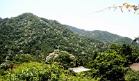IMG_6105.JPG