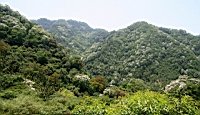 IMG_6106.JPG