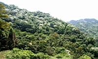 IMG_6107.JPG