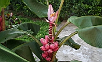 IMG_6144.JPG