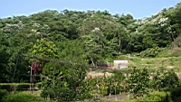 IMG_6145.JPG