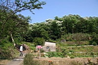 IMG_6147.JPG