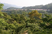 IMG_6153.JPG