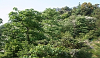 IMG_6155.JPG