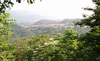 IMG_6158.JPG