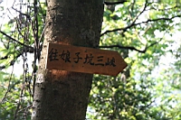 IMG_6162.JPG
