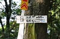 IMG_6163.jpg