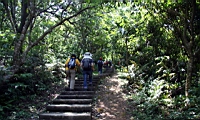 IMG_6180.JPG